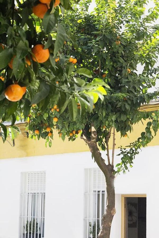 Apartamento Costasol Cordoba Exterior photo